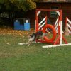 agility 2011-10-30